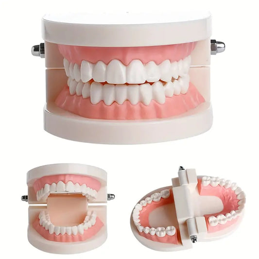 SMILE LABORATORY™ - Professional dental model - Accurate demonstrations